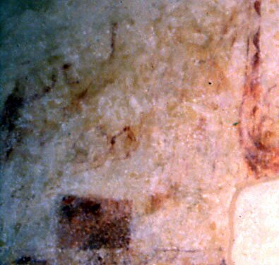 Life of St. Nicholas, detail, 3 boys in the barrel (44KB)
